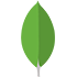 MongoDB